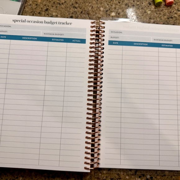 💰 Erin Condren A5 Budget Planner Bundle - Picture 10 of 16